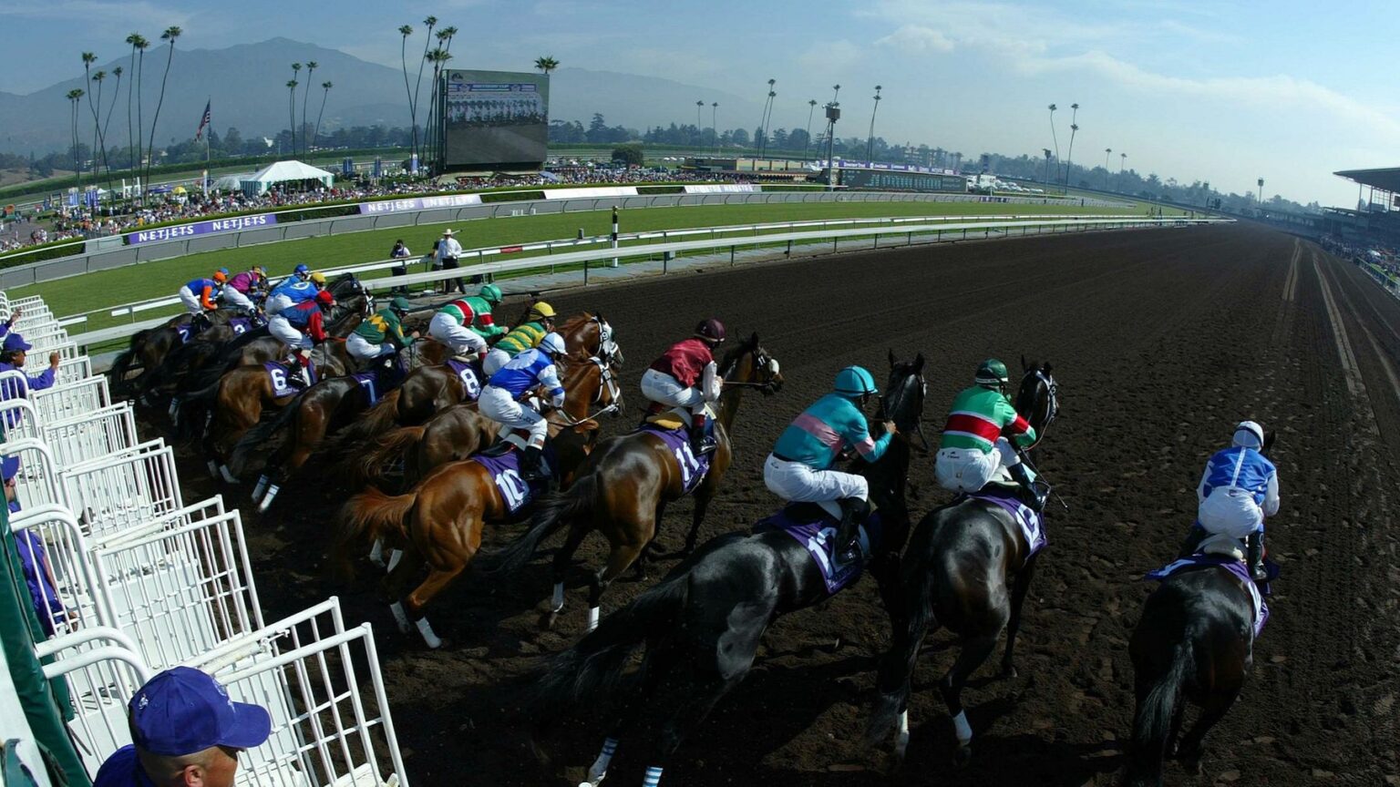 Horse Racing Database UK Dataset 2016/2022 & HK Dataset 1979/2022