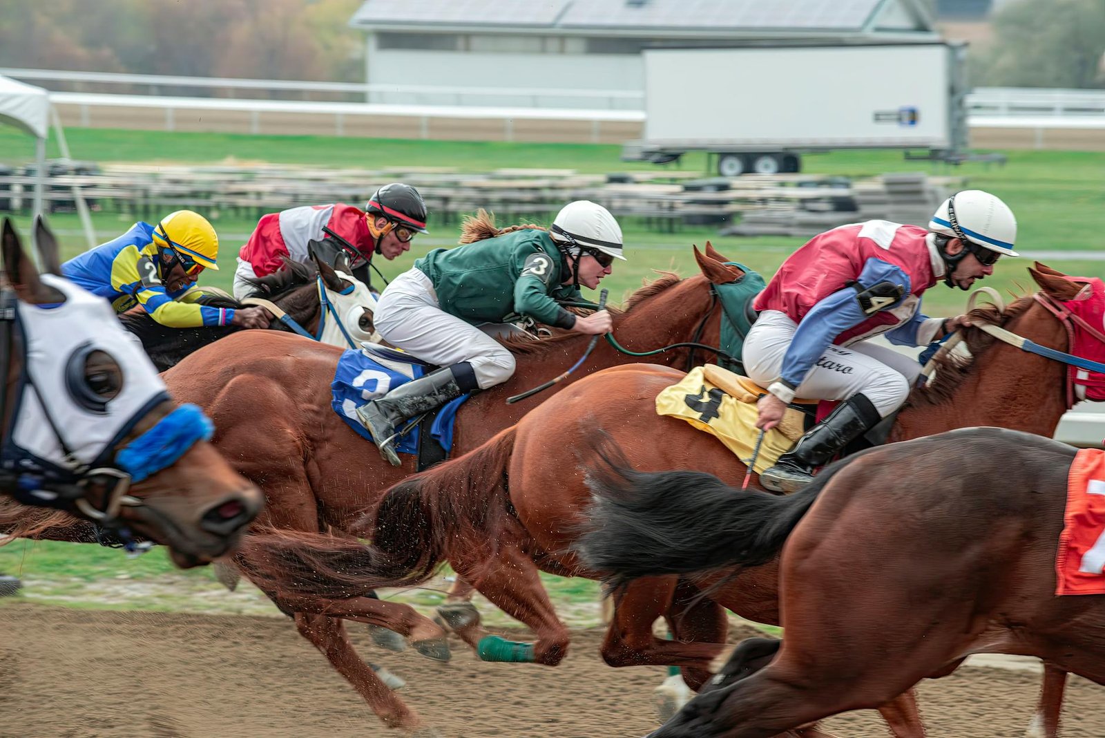 intense horse racing action at the track